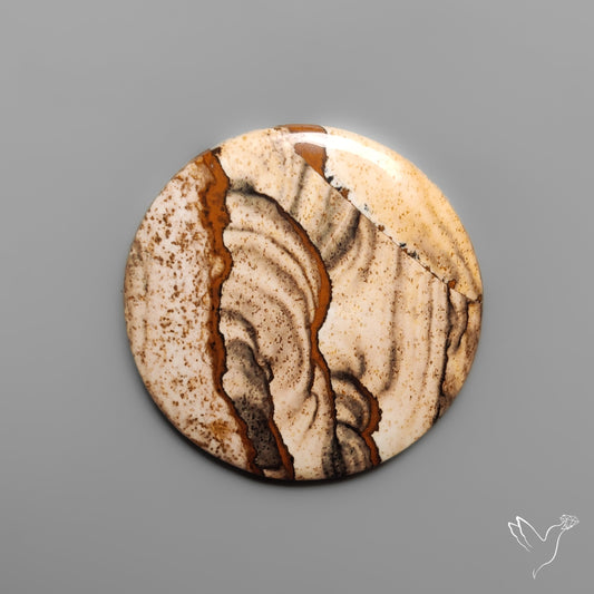 Deschutes Picture Jasper Cabochon