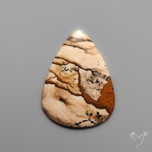 Deschutes Picture Jasper Cabochon