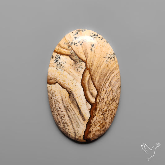 Deschutes Picture Jasper Cabochon