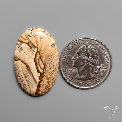 Deschutes Picture Jasper Cabochon