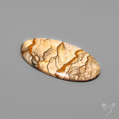 Deschutes Picture Jasper Cabochon