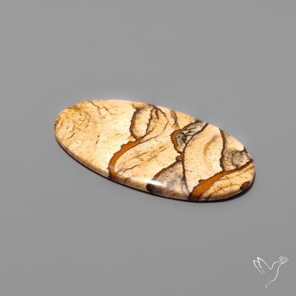 Deschutes Picture Jasper Cabochon
