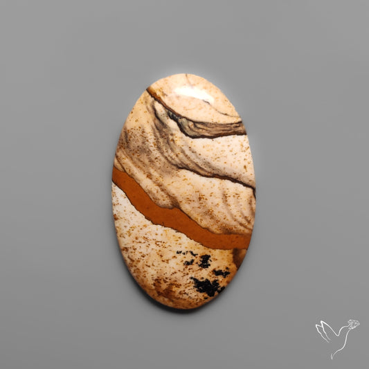 Deschutes Picture Jasper Cabochon