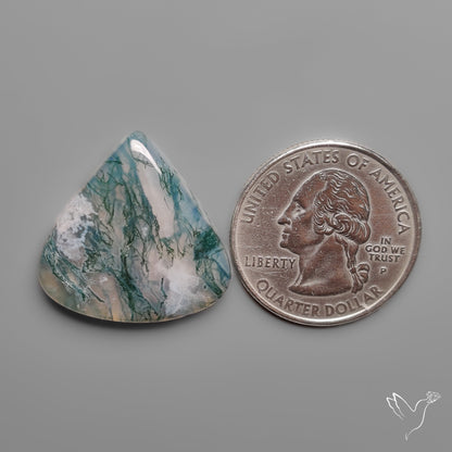 Moss Agate Cabochon