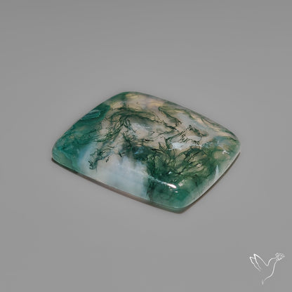 Moss Agate Cabochon