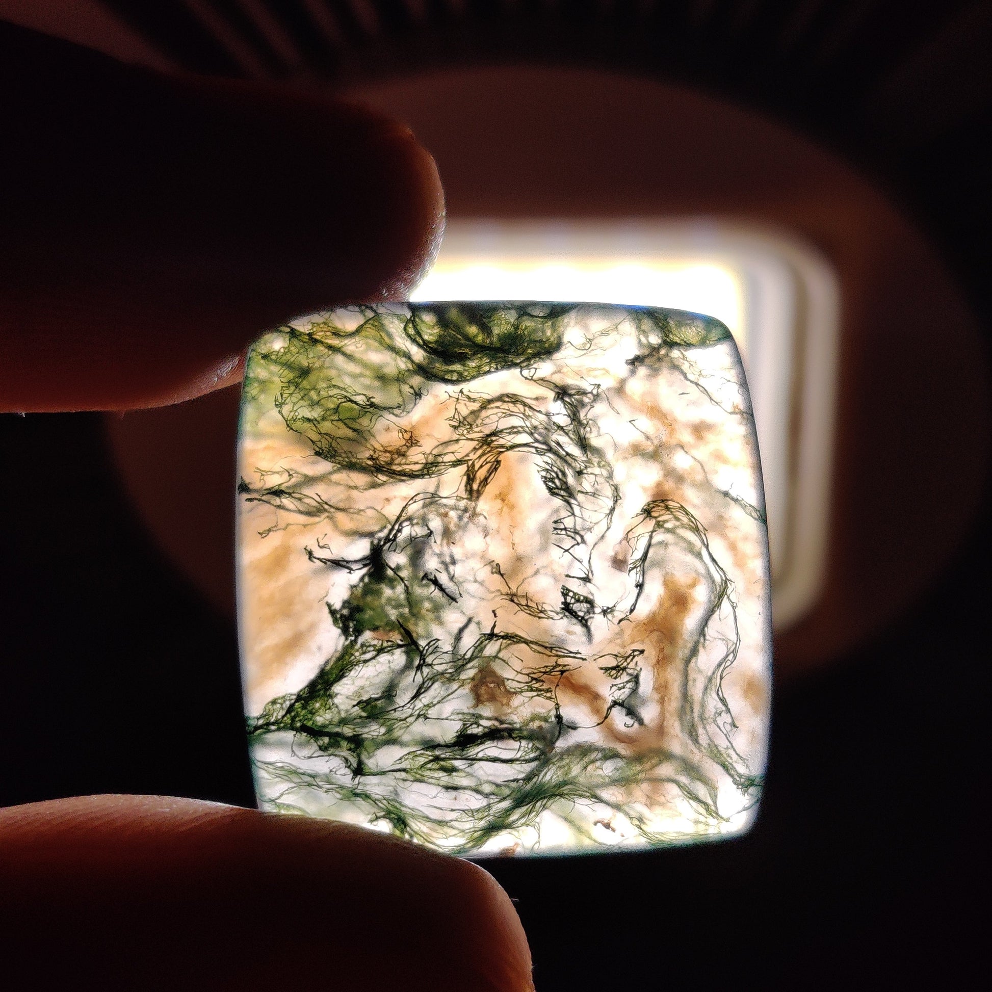 Moss Agate Cabochon