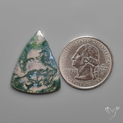 Moss Agate Cabochon