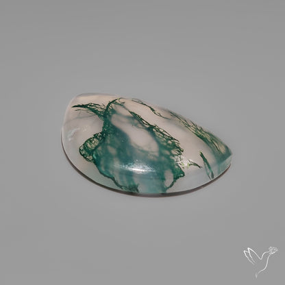Moss Agate Cabochon