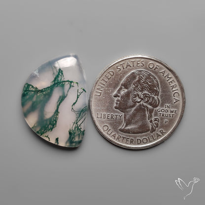 Moss Agate Cabochon