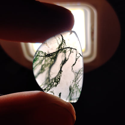 Moss Agate Cabochon