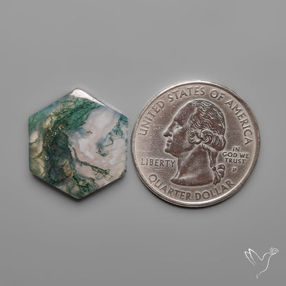 Moss Agate Cabochon