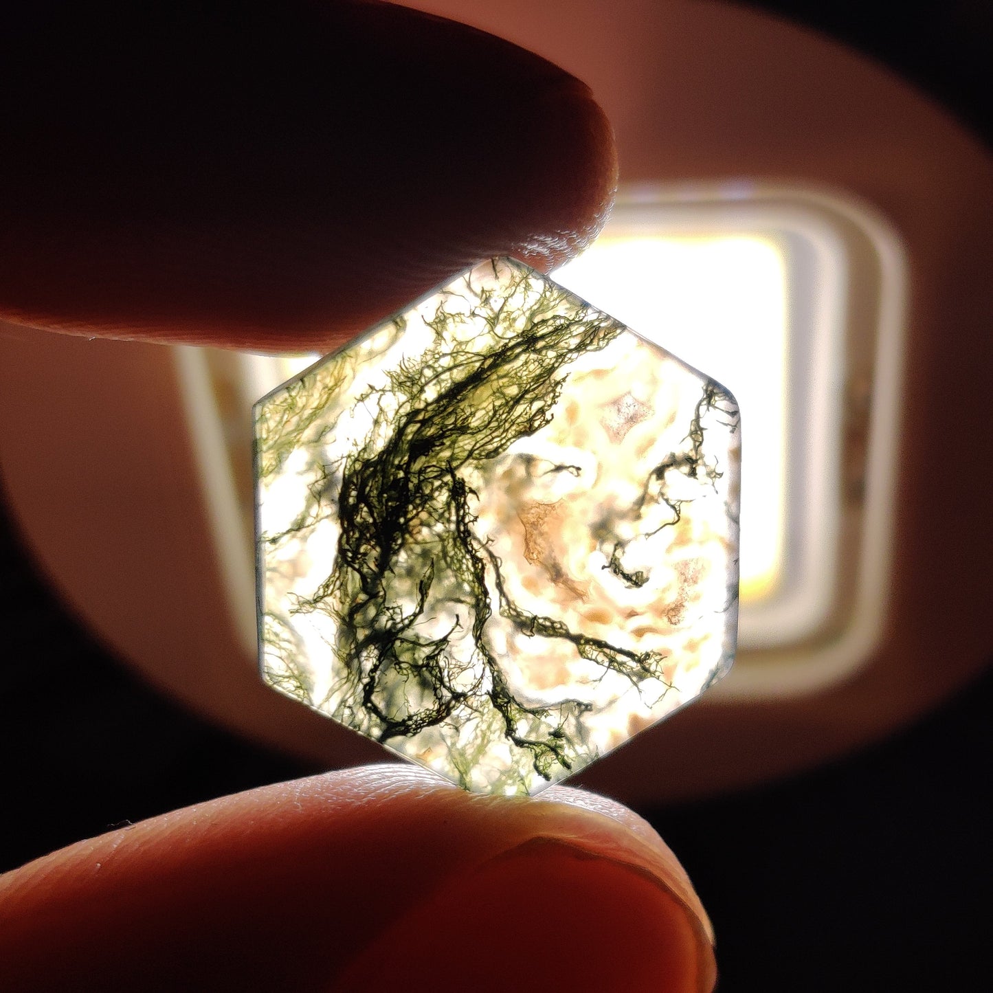 Moss Agate Cabochon