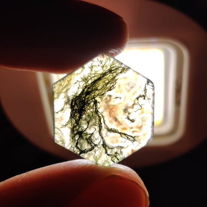 Moss Agate Cabochon