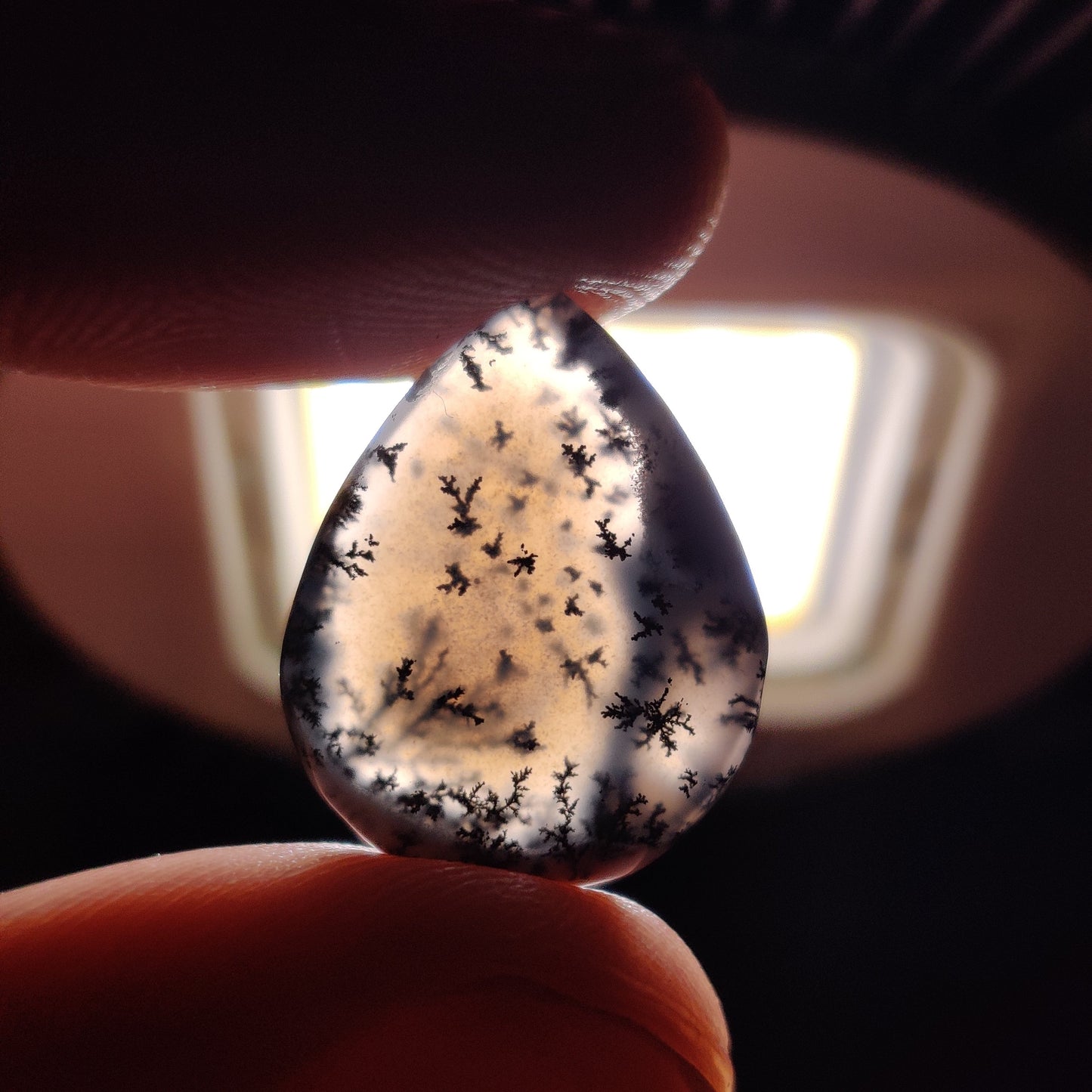 Dendritic Agate Cabochon