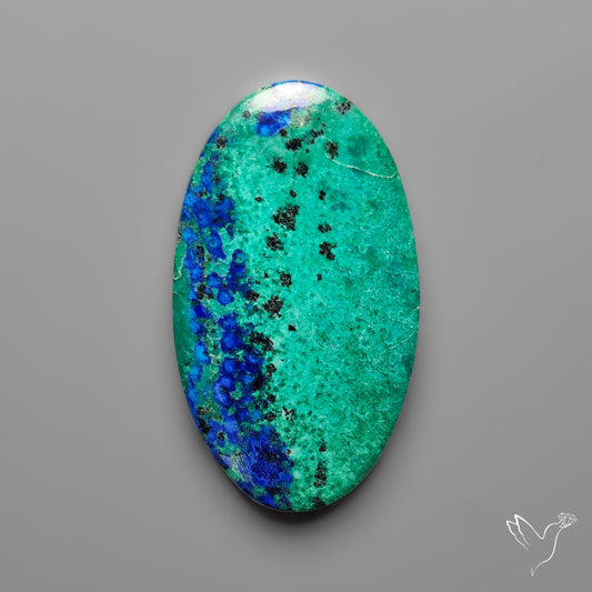 Bluebird Azurite Cabochon