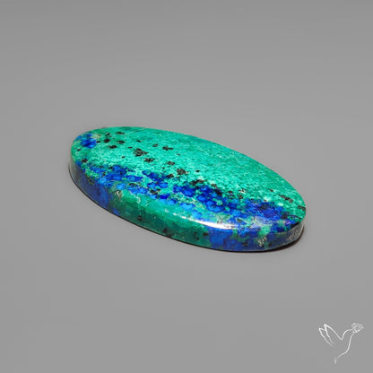 Bluebird Azurite Cabochon