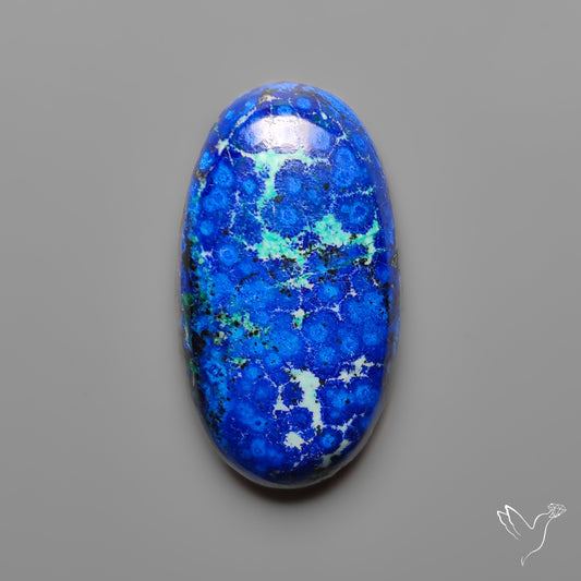 Bluebird Azurite Cabochon