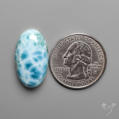 Larimar Cabochon
