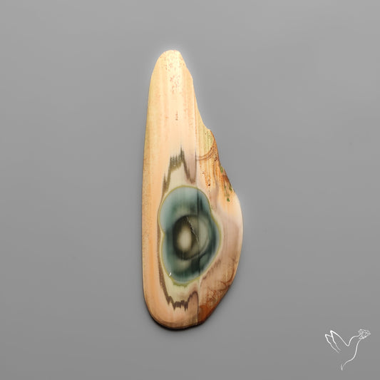 Imperial Jasper Raw Edged Slice