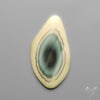 Imperial Jasper Raw Edged Slice