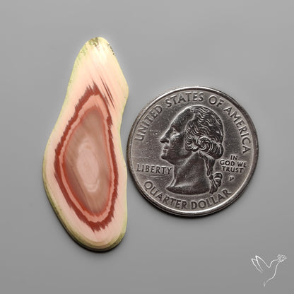 Imperial Jasper Raw Edged Slice