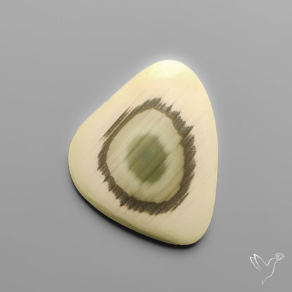 Imperial Jasper Raw Edged Slice