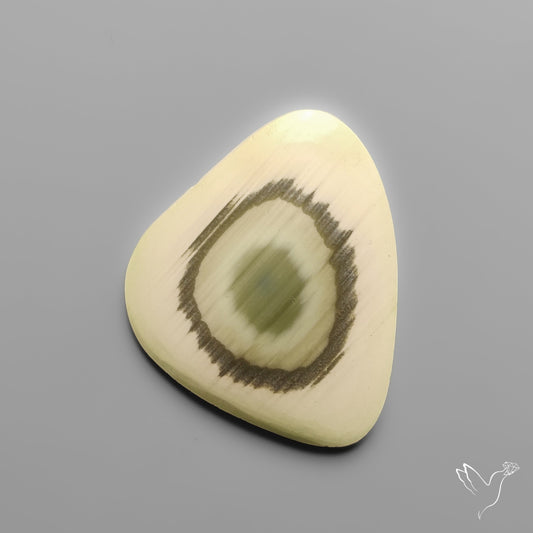 Imperial Jasper Raw Edged Slice
