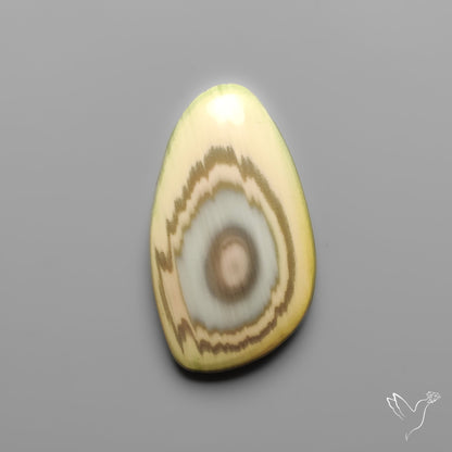Imperial Jasper Raw Edged Slice