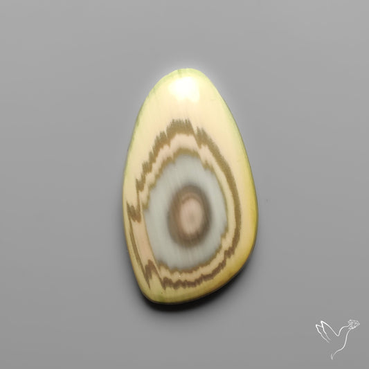 Imperial Jasper Raw Edged Slice