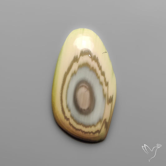 Imperial Jasper Raw Edged Slice