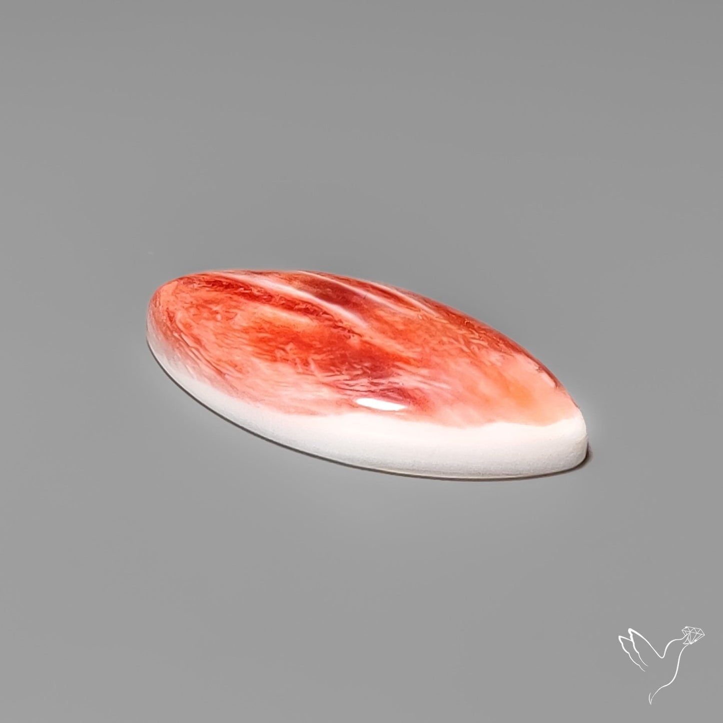 Spiny Oyster Shell Cabochon