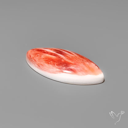 Spiny Oyster Shell Cabochon