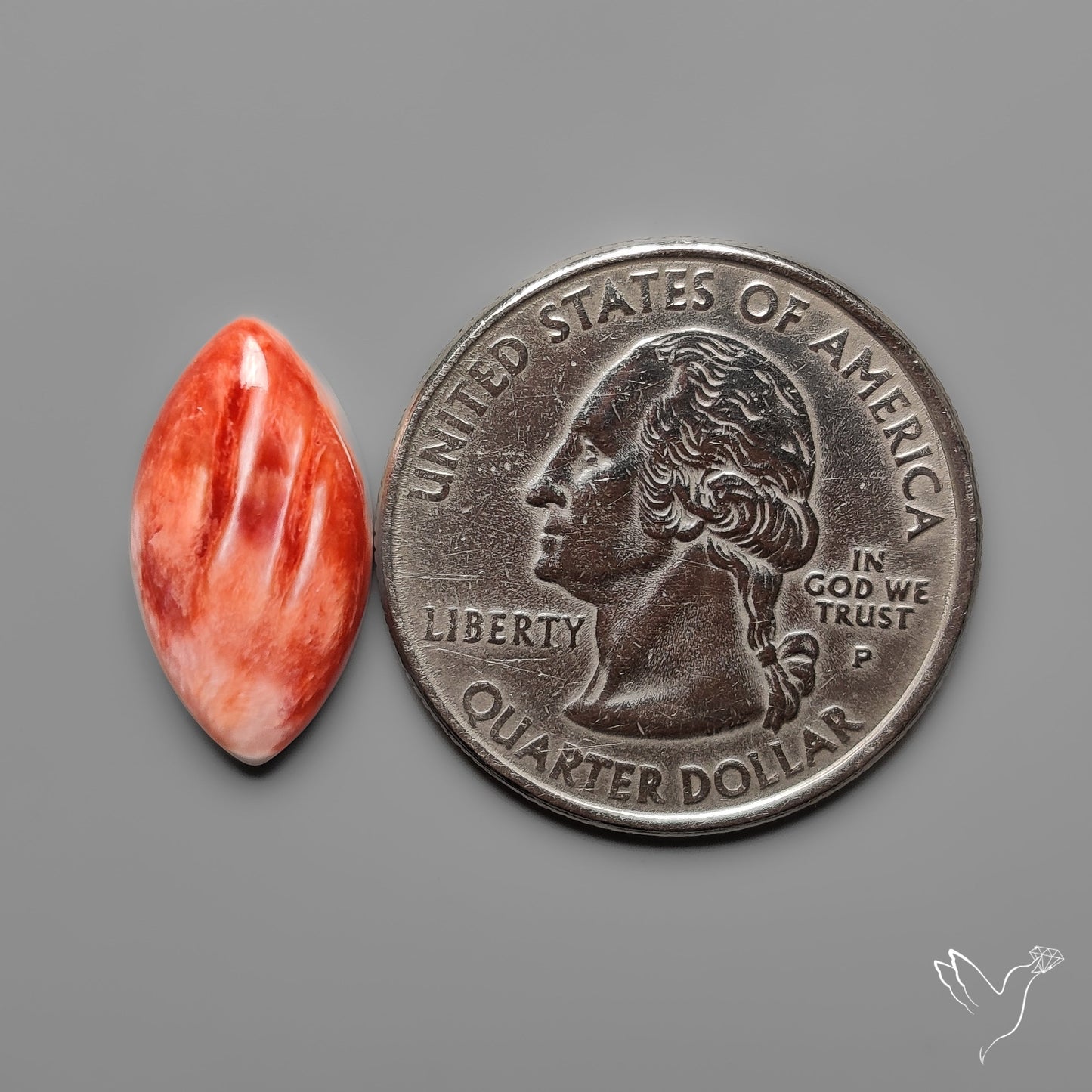 Spiny Oyster Shell Cabochon