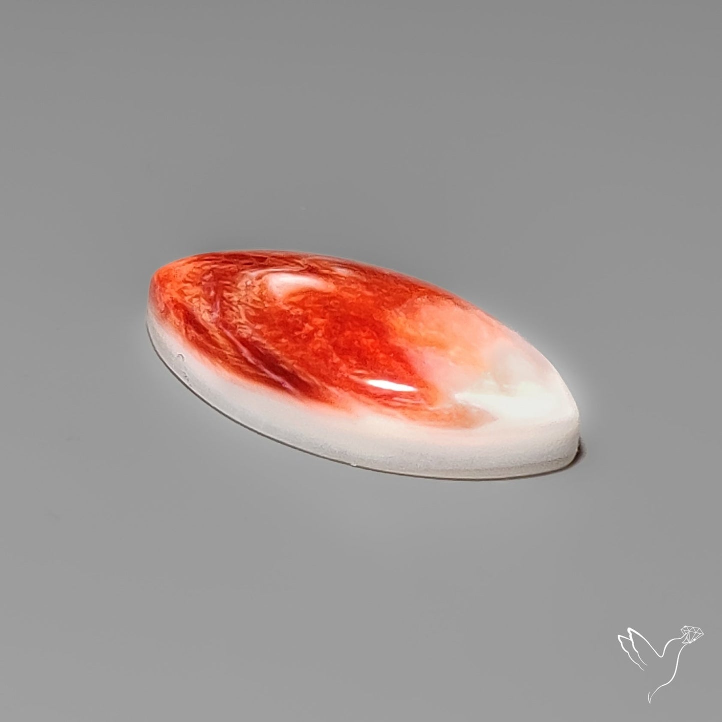 Spiny Oyster Shell Cabochon