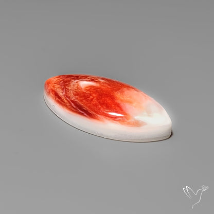 Spiny Oyster Shell Cabochon