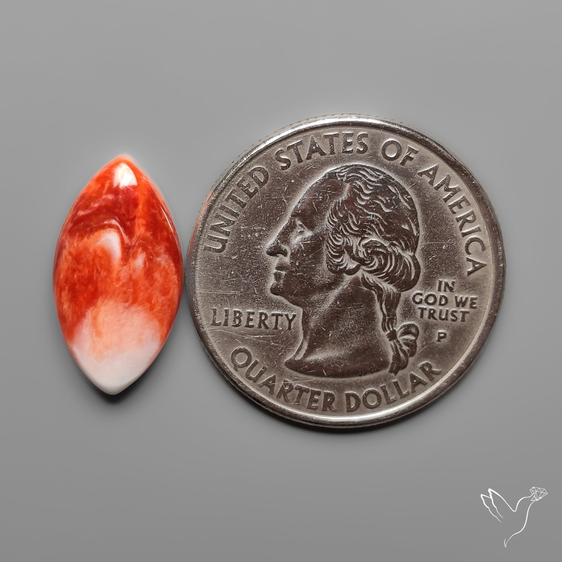 Spiny Oyster Shell Cabochon
