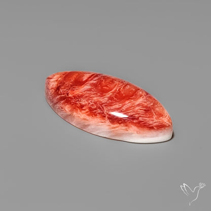 Spiny Oyster Shell Cabochon
