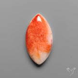 Spiny Oyster Shell Cabochon