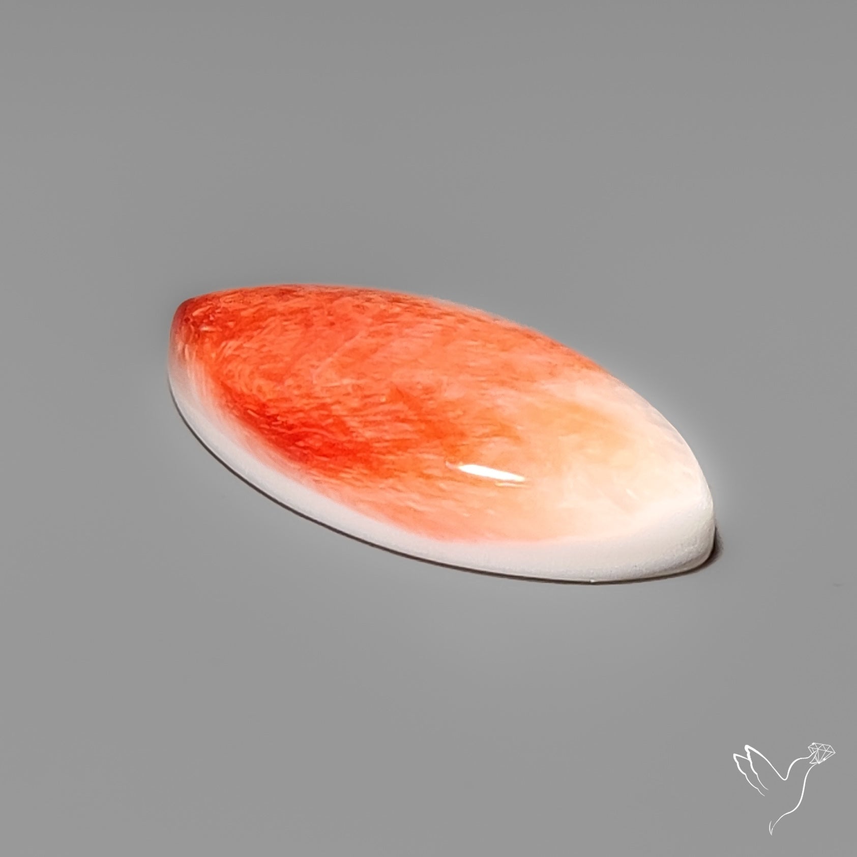 Spiny Oyster Shell Cabochon