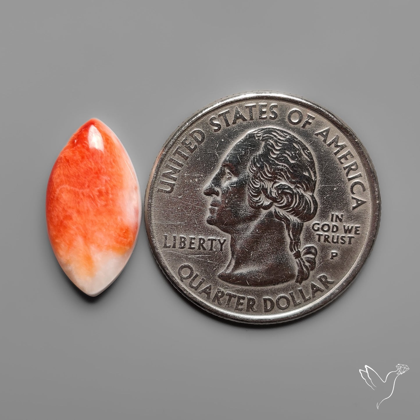 Spiny Oyster Shell Cabochon