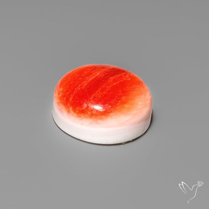 Spiny Oyster Shell Cabochon