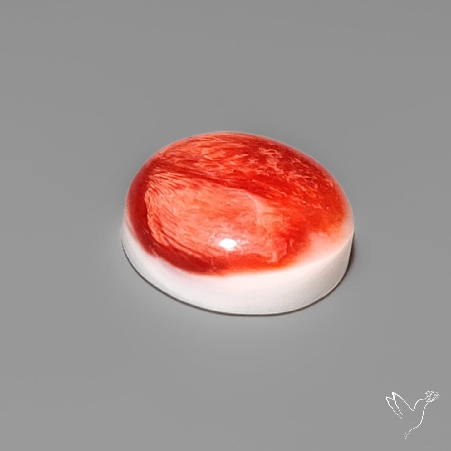 Spiny Oyster Shell Cabochon