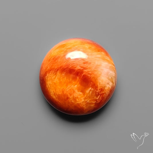 Spiny Oyster Shell Cabochon