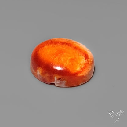 Spiny Oyster Shell Cabochon