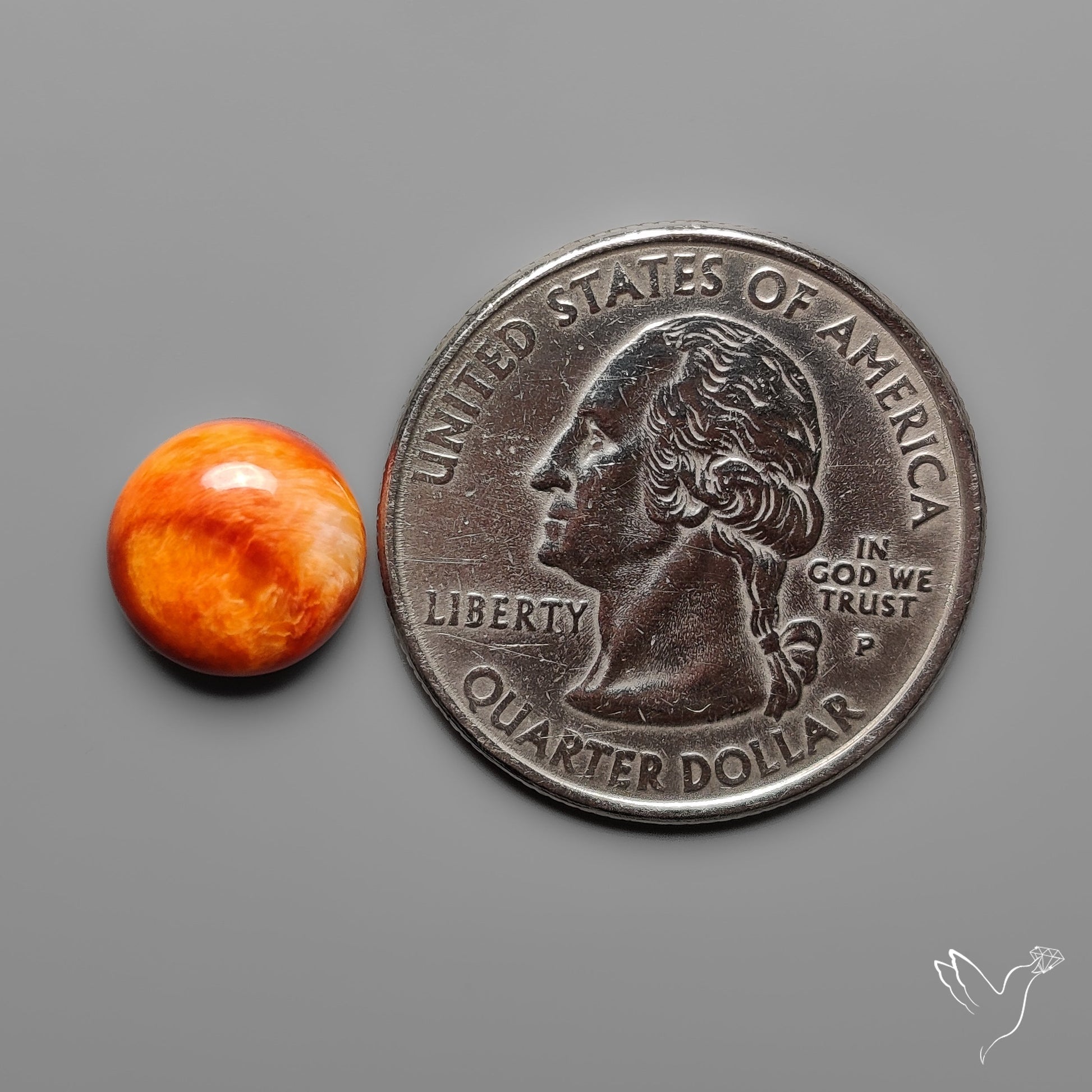 Spiny Oyster Shell Cabochon