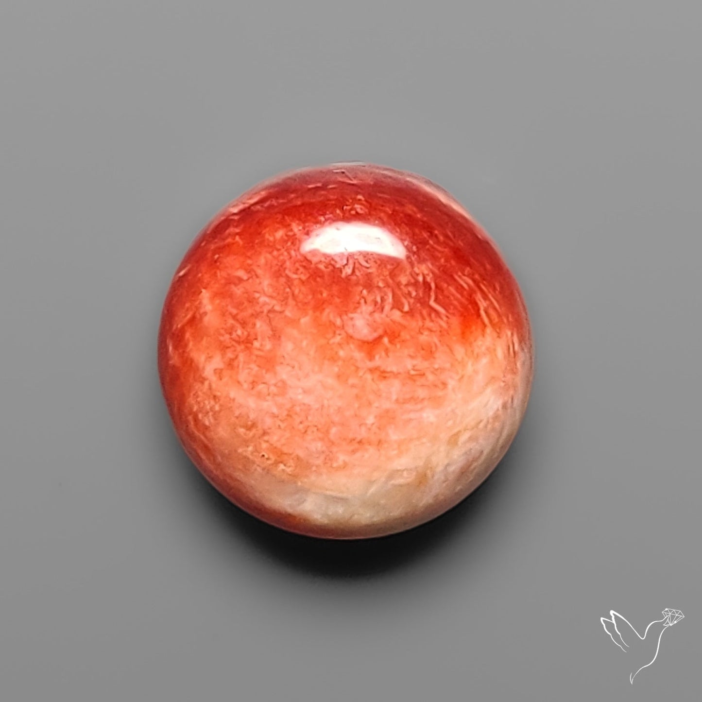 Spiny Oyster Shell Cabochon