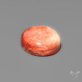 Spiny Oyster Shell Cabochon