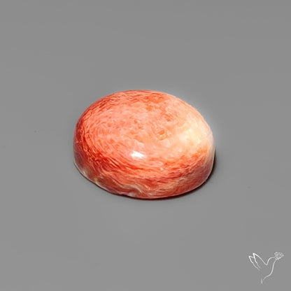 Spiny Oyster Shell Cabochon