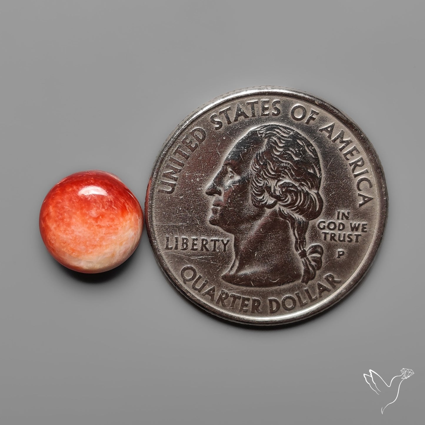 Spiny Oyster Shell Cabochon