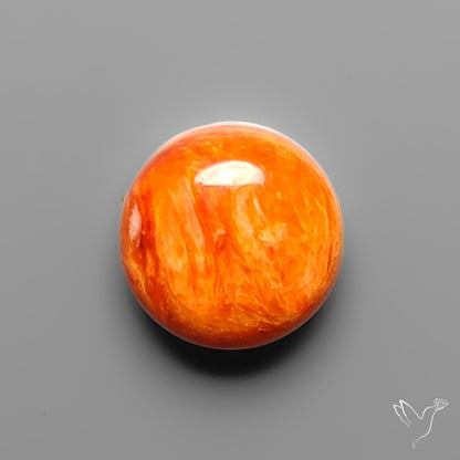 Spiny Oyster Shell Cabochon